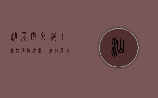 汕尾市九级工伤赔偿标准是什么？（汕尾市雇员工资）