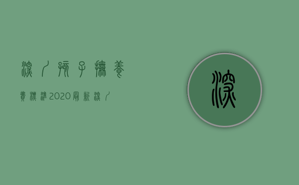 深圳孩子抚养费标准2020最新（深圳孩子抚养费标准2020是多少）