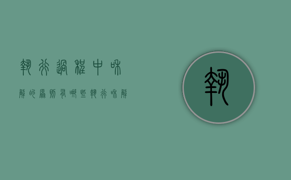 执行过程中和解的原则有哪些（执行和解的内容和效力）