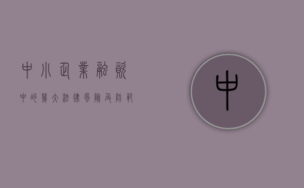 中小企业融资中的几大法律风险及防范技巧（中小企业融资风险与对策）
