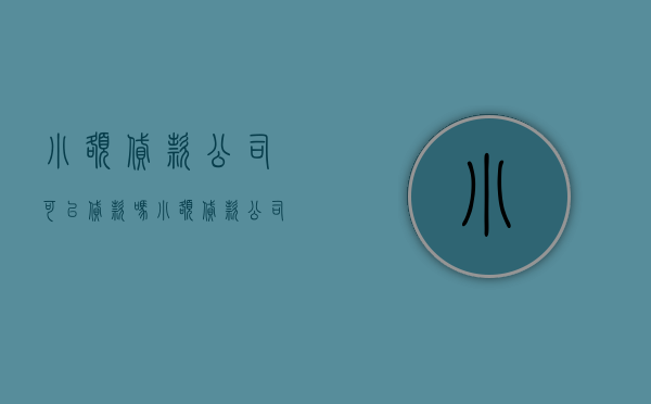 小额贷款公司可以贷款吗（小额贷款公司国家允许吗）