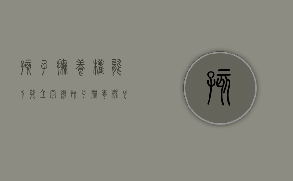 孩子抚养权能不能立字据（孩子抚养权可以写共同抚养吗）
