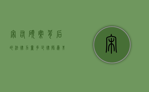 宋佑硕案背后的法律力量，多少律师为其辩护？