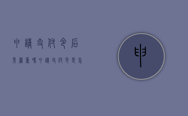 申请支付令后果严重吗（申请支付令是怎么回事）