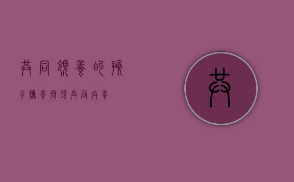共同领养的孩子抚养问题（共同收养）