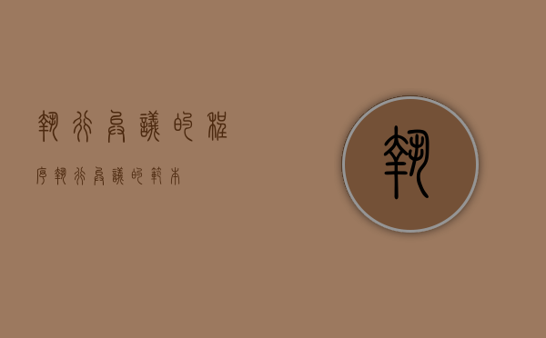 执行异议的程序（执行异议的范本）
