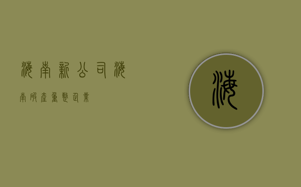 海南新公司（海南破产重整企业）
