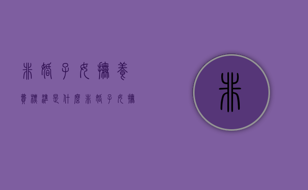 非婚子女抚养费标准是什么（非婚子女抚养权怎么判）