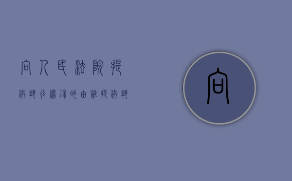 向人民法院提供执行担保的，由谁提供（执行中提供担保的规定）