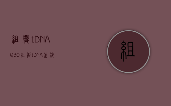 组织tDNAQ30（组织tDNA 血液gDNA）