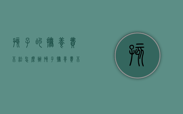 孩子的抚养费不给怎么办?（孩子抚养费不给法院怎么处理）