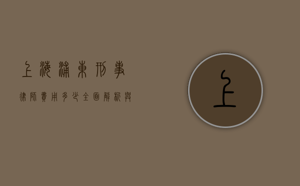 上海浦东刑事律师费用多少？全面解析与参考