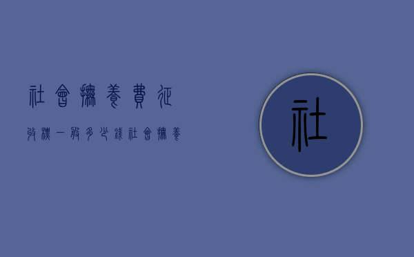 社会抚养费征收标一般多少钱（社会抚养费收取标准）