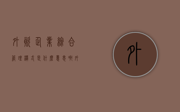外资企业综合管理模式是什么意思啊（外资企业综合管理模式是什么意思呀）