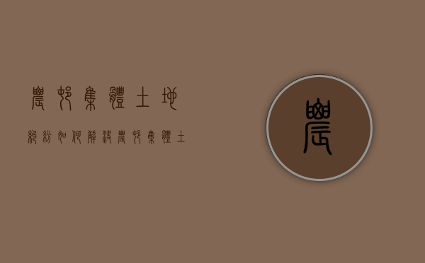 农村集体土地纠纷如何解决（农村集体土地如何处置）