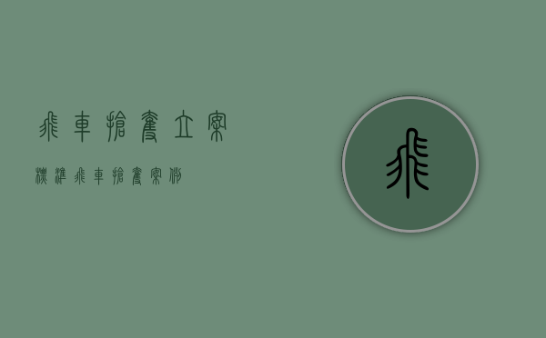 飞车抢夺立案标准（飞车抢夺案例）