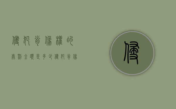 侵犯肖像权的处罚金额是多少（侵犯肖像权要负什么责任）