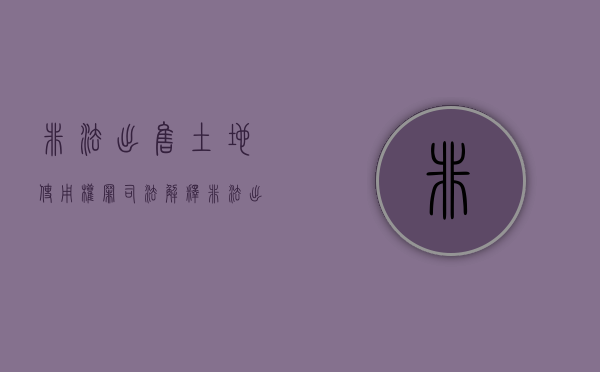 非法出售土地使用权罪司法解释（非法出售土地使用权罪案例）