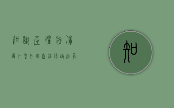 知识产权法保护什么（知识产权保护法有哪些）