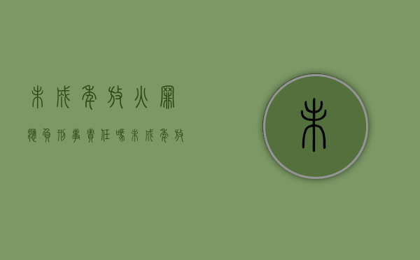 未成年放火罪应负刑事责任吗（未成年放火罪应负刑事责任吗为什么）
