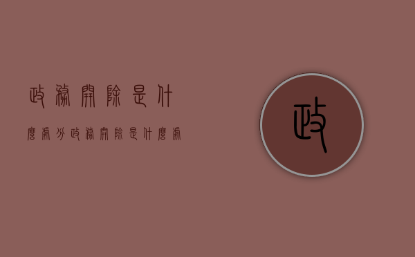 政务开除是什么处分（政务开除是什么处分类型）