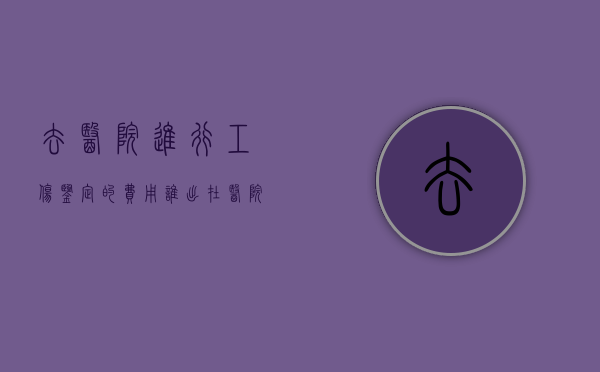去医院进行工伤鉴定的费用谁出（在医院做工伤鉴定多少费用）