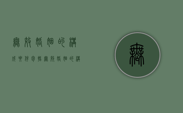 无效婚姻的构成要件包括（无效婚姻的构成要件是什么）