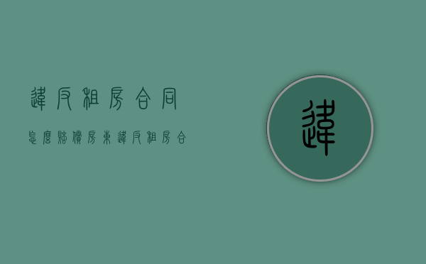 违反租房合同怎么赔偿房东（违反租房合同多少钱可以立案）