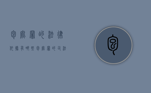 包庇罪的法律依据有哪些（包庇罪的司法解释有哪些）