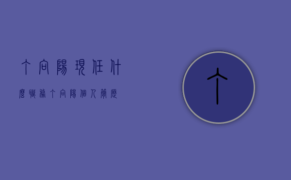丁向阳现任什么职务（丁向阳个人简历）