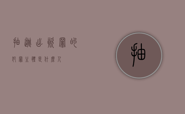 抽逃出资罪的犯罪主体是什么人
