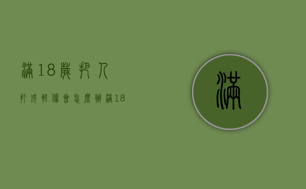 满18岁把人打成轻伤会怎么办（满18岁打人犯法吗）