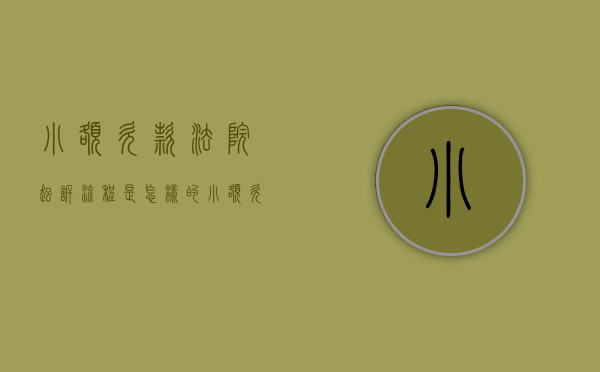 小额欠款法院起诉流程是怎样的？（小额欠款纠纷法院一般这判决）