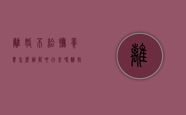离婚不给抚养费怎么办能要回来吗（离婚后不给抚养费怎么处理）