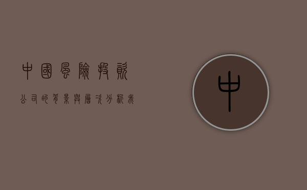 中国风险投资公司的背景与层次分析（我国风险投资主要运作模式）