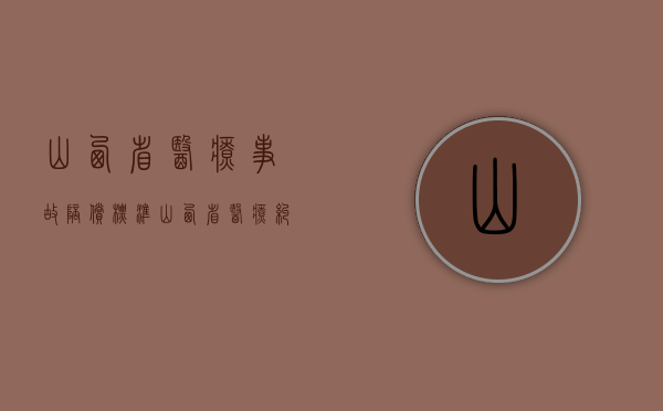 山西省医疗事故陪偿标准（山西省医疗纠纷预防与处理条例）