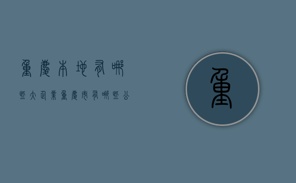 重庆本地有哪些大企业（重庆市有哪些公司）