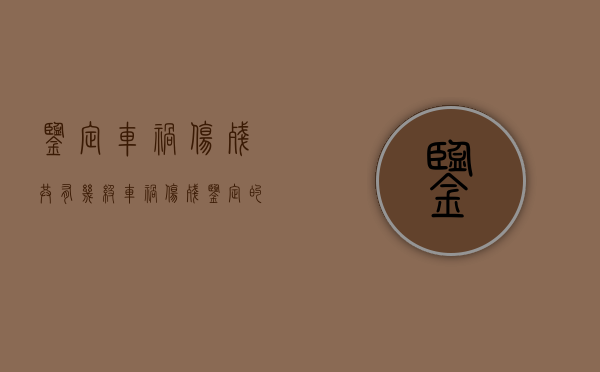 鉴定车祸伤残共有几级（车祸伤残鉴定的费用由谁承担）
