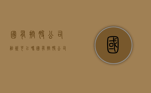 国有控股公司融资可以吗（国有控股公司投资的公司算什么）