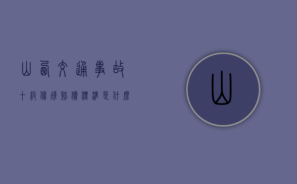 山西交通事故十级伤残赔偿标准是什么？（2024年刚刚发生的车祸 六盘水）