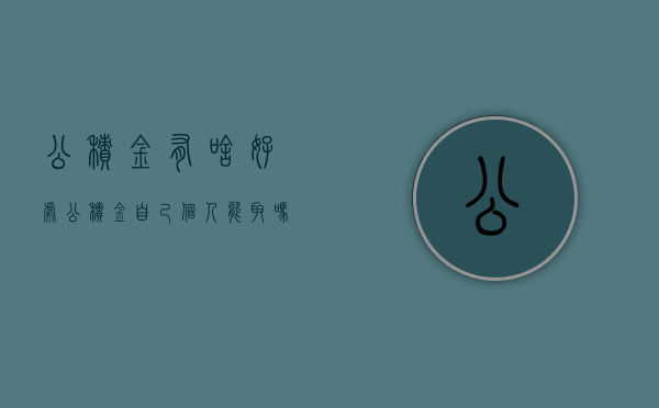 公积金有啥好处（公积金自己个人能取吗）