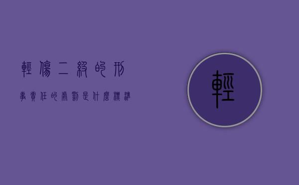 轻伤二级的刑事责任的处罚是什么标准（轻伤二级负刑事责任吗?）