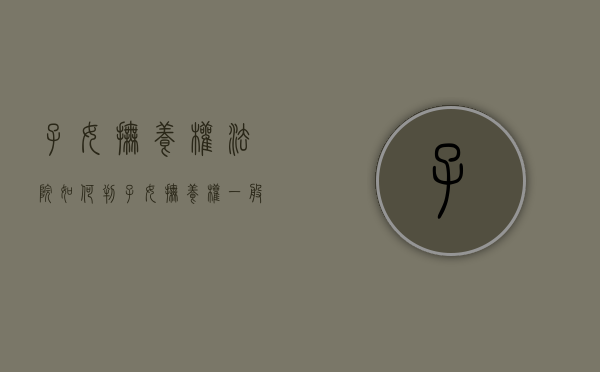 子女抚养权法院如何判（子女抚养权一般判给谁机会大）