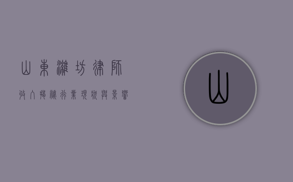 山东潍坊律师收入揭秘，行业现状与影响因素分析