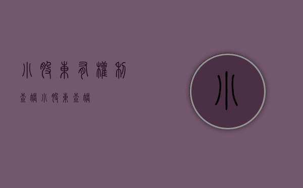 小股东有权利查账（小股东查帐）