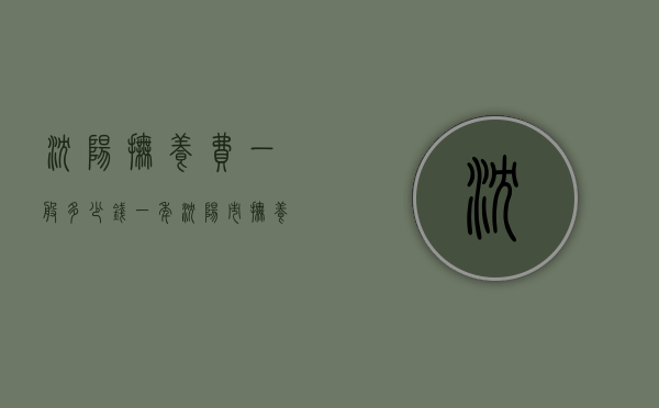 沈阳抚养费一般多少钱一年（沈阳市抚养费一般多少）