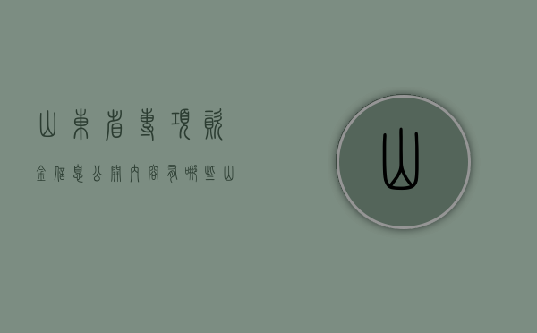 山东省专项资金信息公开内容有哪些（山东省专项债2020年第一期）