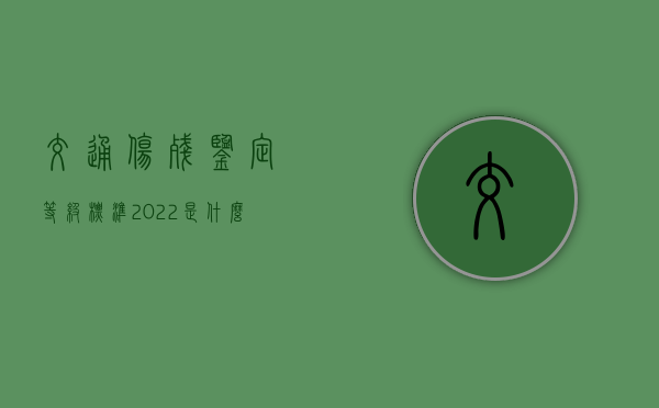 交通伤残鉴定等级标准2022是什么？（交通伤残评定标准一览表）