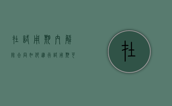 在试用期内解除合同如何进行（试用期可以随时辞退吗用赔偿吧）