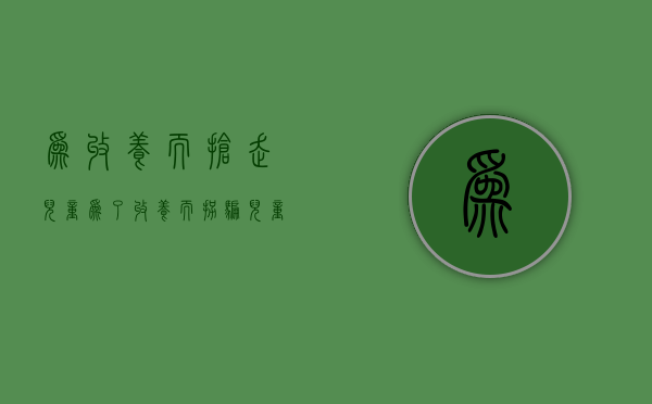 为收养而抢走儿童（为了收养而拐骗儿童）